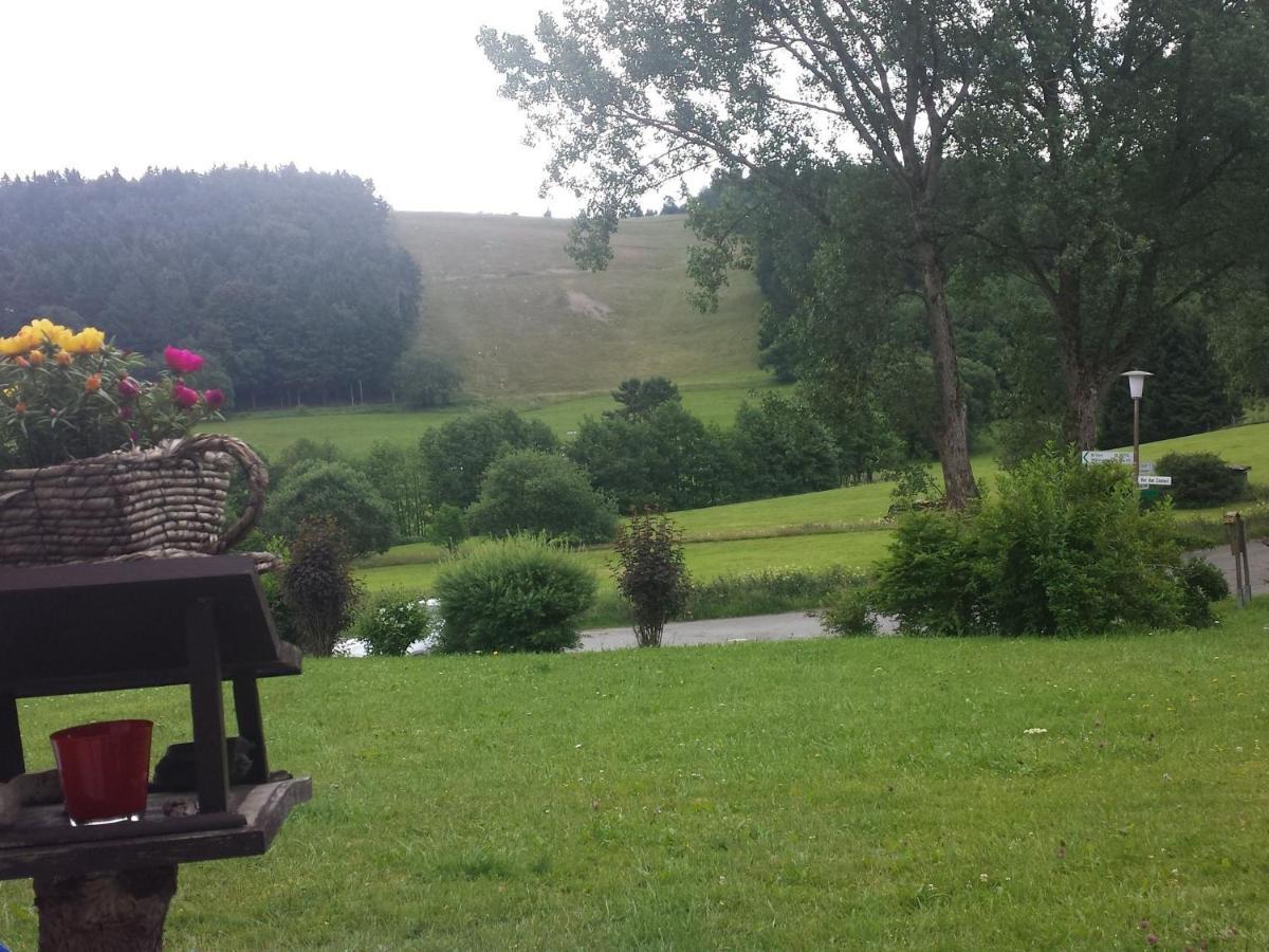 Cosy Apartment Over Usseln With Private Terrace Willingen  Eksteriør billede