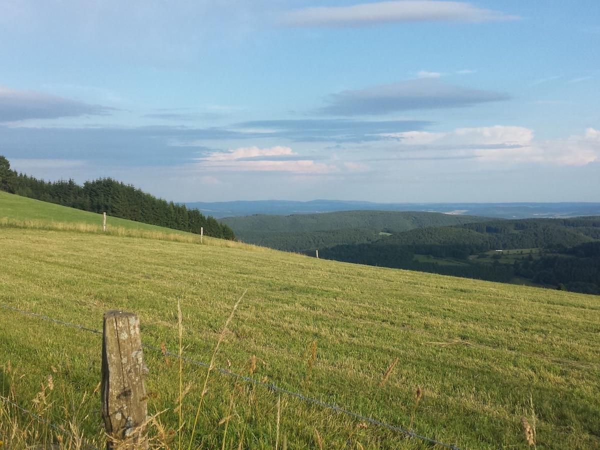 Cosy Apartment Over Usseln With Private Terrace Willingen  Eksteriør billede